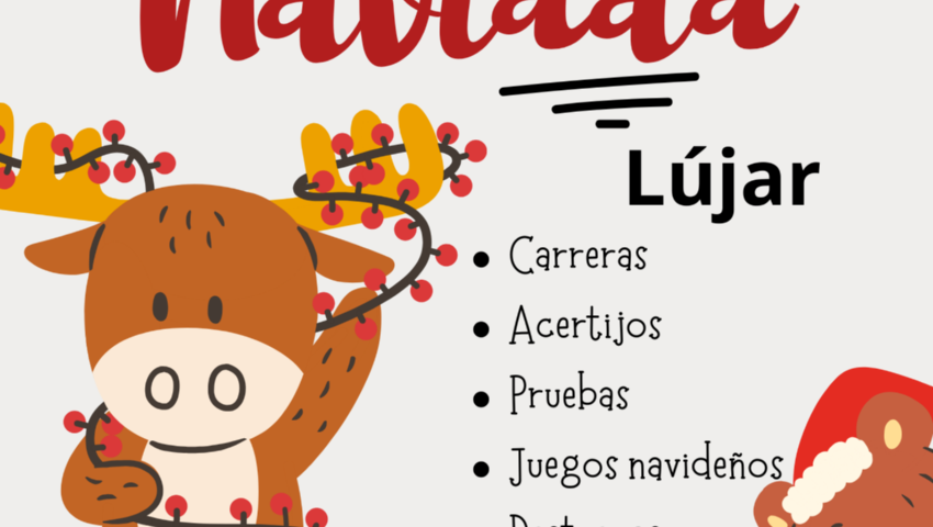 Gincana (03/01/2024)