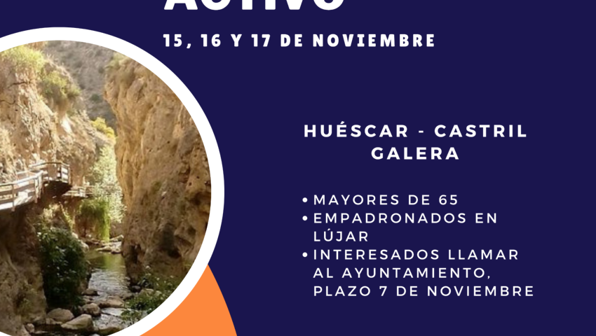 Viaje de enjecimiento activo